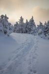 Footprints In Snow Stock Photo