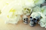 Still Life Of Love Human Skull Couple With Rose Flower Stock Photo