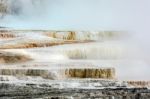 Mammoth Hot Springs Stock Photo