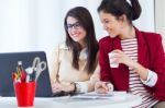 Two Young Businesswomen Working With Laptop In Her Office Stock Photo