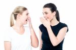 Young Girls Gossiping And Having Fun Stock Photo