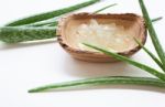 Aloe Vera Gel  On White Background Stock Photo