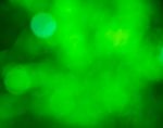 Green Bokeh Abstract Stock Photo