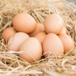 Eggs In A Straw Nest Stock Photo