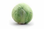 White Cabbage Stock Photo