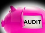 Audit Piggy Bank Message Means Inspection And Validation Stock Photo