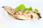 Grilled Salted Catfish Stock Photo