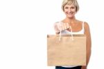 Woman Holding Paper Shopping Bag Stock Photo