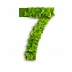 Number 7 With Leaves Stock Photo