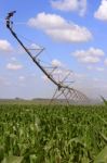 Irrigation System For Agriculture Stock Photo