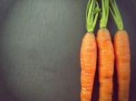 Fresh Crop Of Carrots With Copy Space Retro Style Background Stock Photo