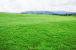 Grassland In The Countryside Stock Photo