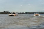 Riverbus On The River Thames Stock Photo