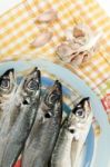 Raw Short Mackerel Fish Stock Photo