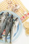 Raw Short Mackerel Fish Stock Photo