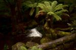 Horseshoe Falls In Mount Field National Park Stock Photo