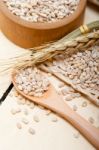 Organic Wheat Grains Stock Photo