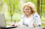 Business Lady Using Laptop In Park Stock Photo