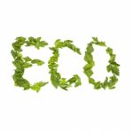 Inscription Eco Is Composed Of Green Parsley Leaves, Isolated On Stock Photo