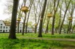 Tree Houses In The Beguinage Garden, Bruges Stock Photo