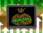 Polish Zloty Shows Foreign Currency And Coinage Stock Photo