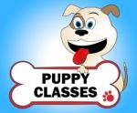 Puppy Classes Represents Pedigree Educate And Study Stock Photo