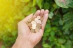 Hand Of Young Man With Coins Stock Photo