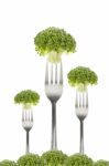 Three Broccoli On Forks Stock Photo