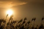 Evening Sky Background Stock Photo