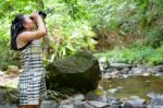 Girl Using Binoculars In Forest Stock Photo