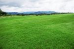 Green Lawn With Sky Stock Photo