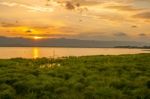 Sunset Time At Kwan Phayao, Thailand Stock Photo