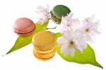 Tasty Colorful Macaroons Stock Photo