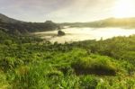 Beautiful Sun Rise Phulangka Mountain And The Mist Stock Photo