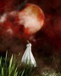 Ghost Woman In White Dress In Creepy Forest,3d Illustration Stock Photo