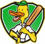 Duck Cricket Player Batsman Cartoon Stock Photo