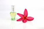 Red Flowers And Green Perfume Bottles Stock Photo