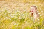 Blond Girl On The Camomile Field Stock Photo