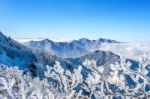 Seoraksan Mountains Is Covered By Morning Fog In Winter, Korea Stock Photo