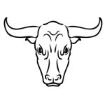 Bull On White Background Stock Photo