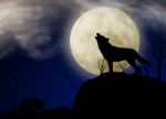 Wolf And Moon Stock Photo