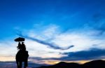 Silhouette Elephant With Tourist At Sunset Stock Photo