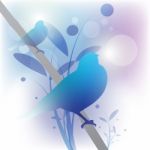 Abstract Bird Background Stock Photo