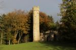 Gothic Tower And Autumn Trees Stock Photo