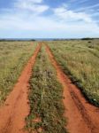 Long Dirt Road Stock Photo