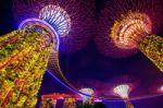 Singapore - Aug 9 , 2017 : Super Tree In Garden By The Bay, Singapore Stock Photo