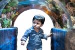 The Thai Boy In The Aqurium Stock Photo