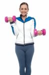 Active Woman Posing With Dumbbells Stock Photo