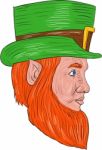 Leprechaun Head Side Drawing Stock Photo