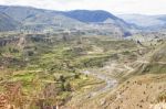 Colca Canyon With Inca Terraces Stock Photo